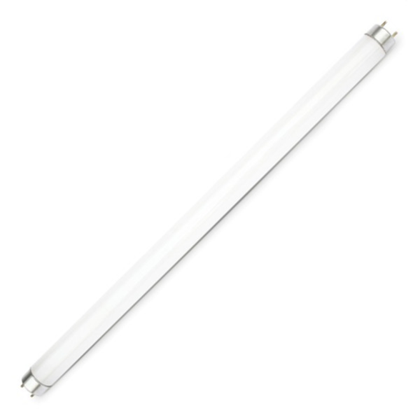 BELL 05448 Fluorescent Tube T8 15W C/W