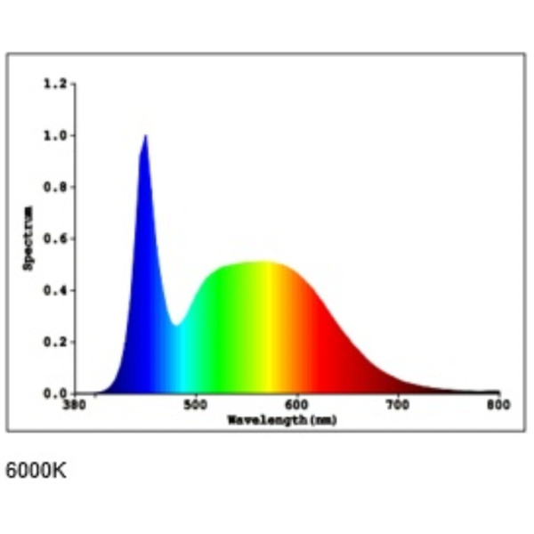 Kosnic MAU06PL LED Dwn/Lgt 6W - Image 9