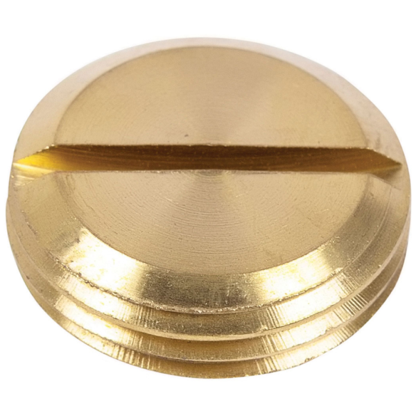 Niglon BPS20 Slotted Plug 20mm Brass