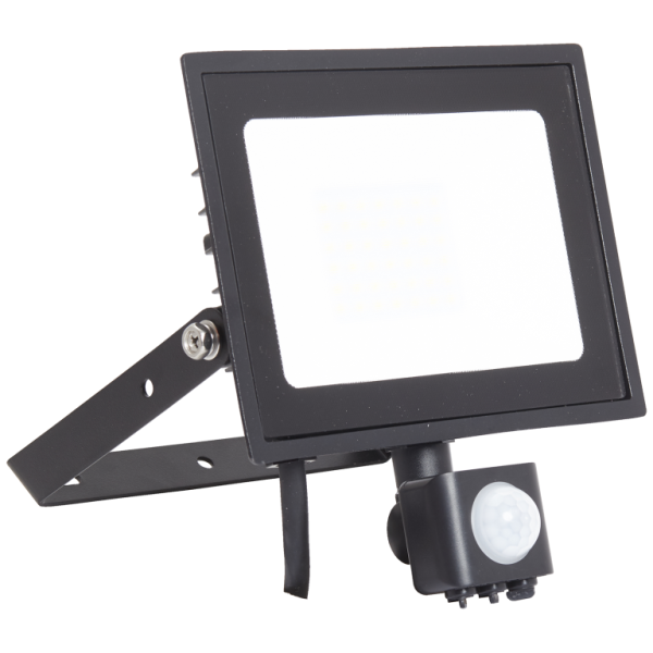 Ansell AEDELED30/CW/PIR Floodlight LED