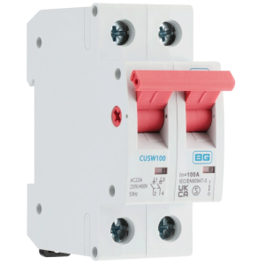 CUSW100 MAIN SWITCH 100A