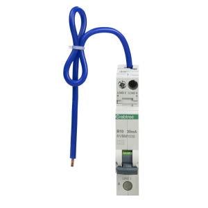 CRAB 61 BM1030 RCBO SP&N